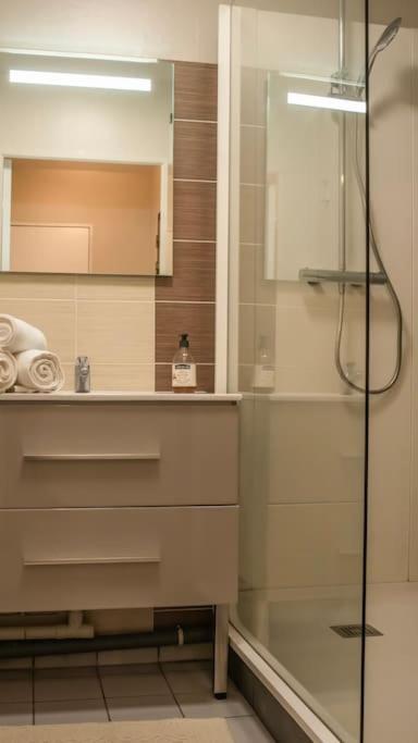 Logement Centre Ville De Reims - Commerces - Wifi Ngoại thất bức ảnh